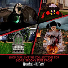 Load image into Gallery viewer, Haunted Hill Farm Soul Sucker Demon Reaper with Child by Tekky, Motion-Activated Talking Scare Prop Animatronic for Creepy Indoor or Covered Outdoor Halloween Decoration, Plug-in or Battery Operated
